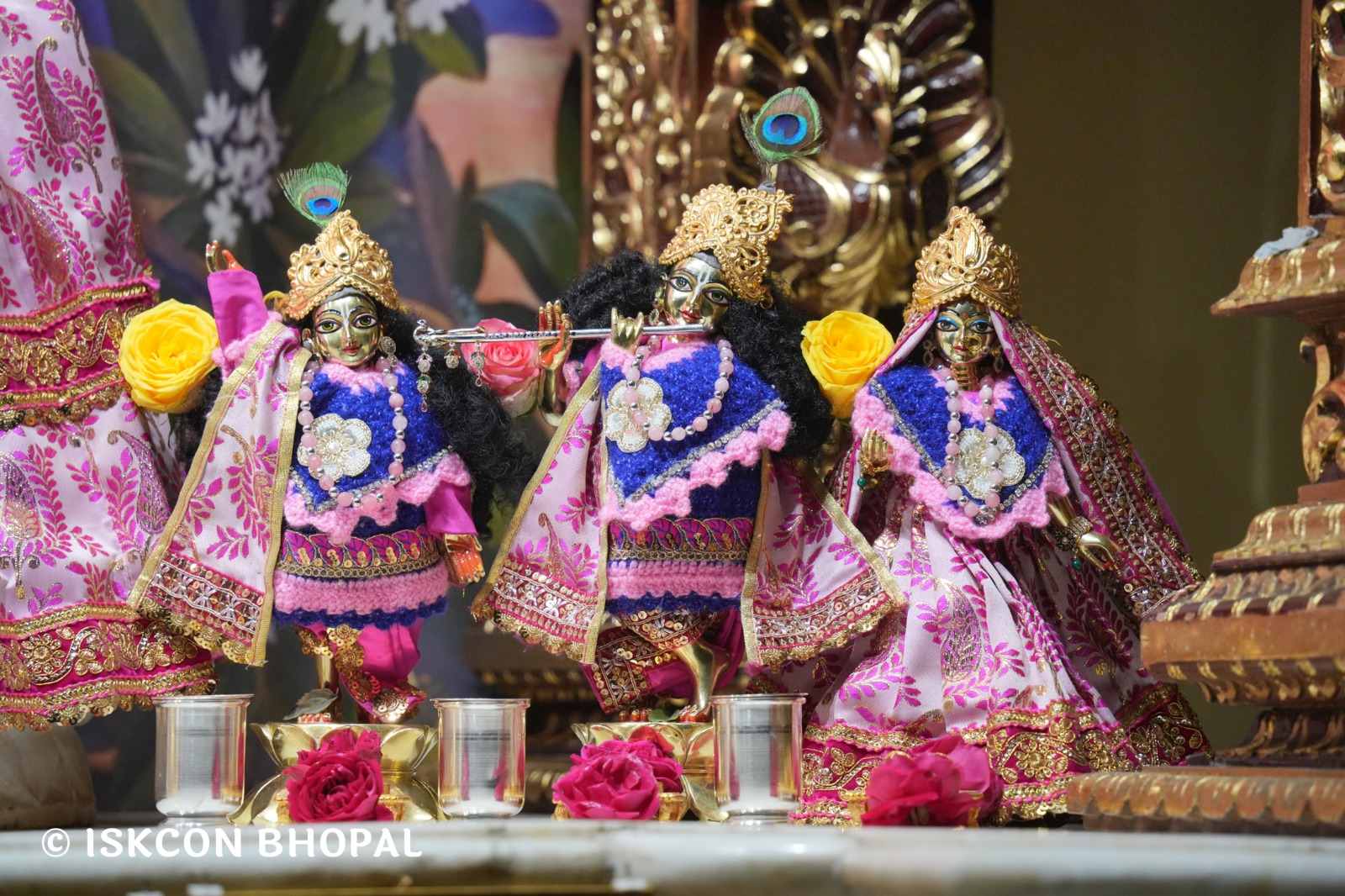 WhatsApp Image 2026-01-17 at 7.10.24 AM