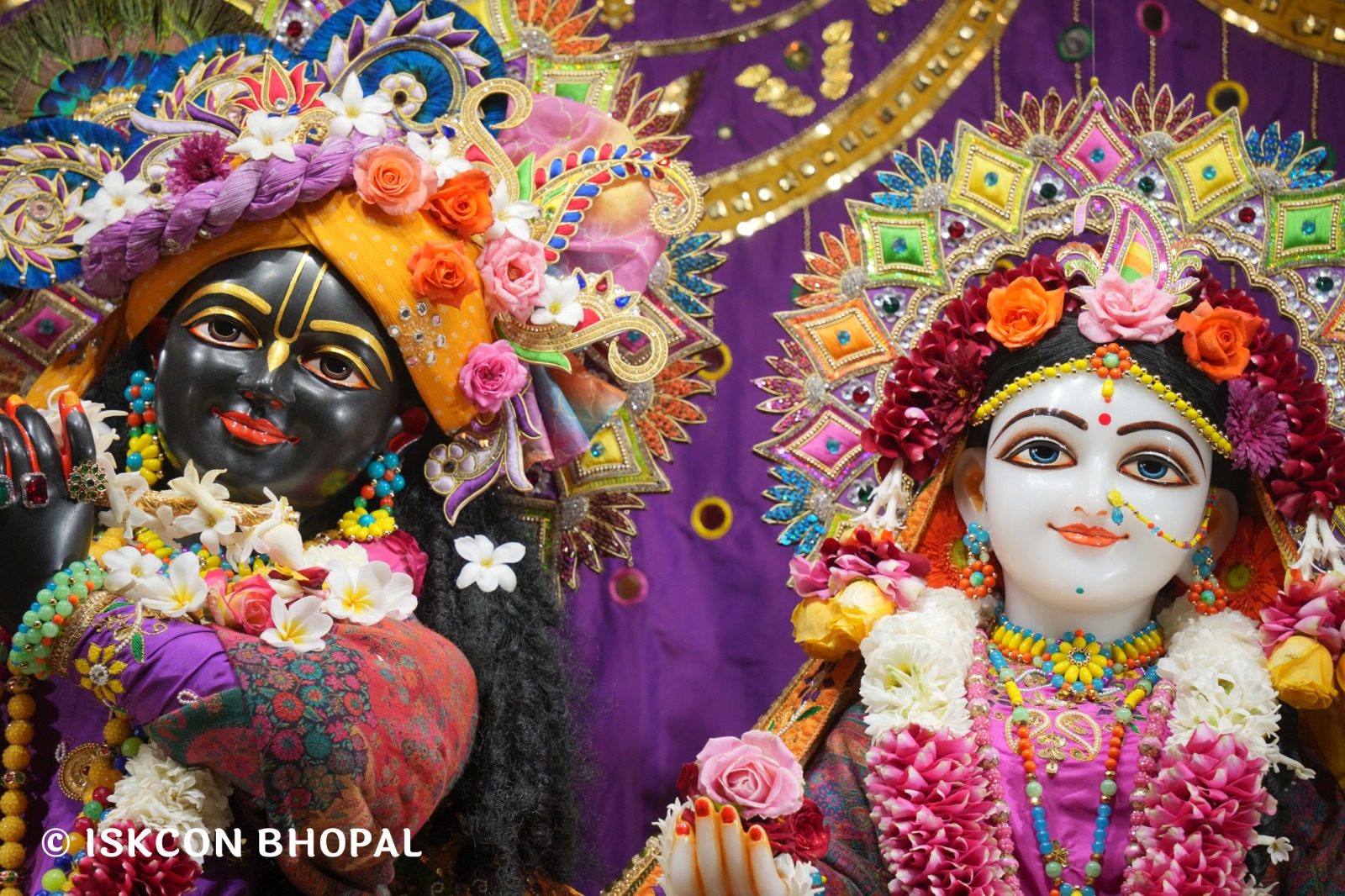 WhatsApp Image 2026-01-17 at 7.54.15 AM