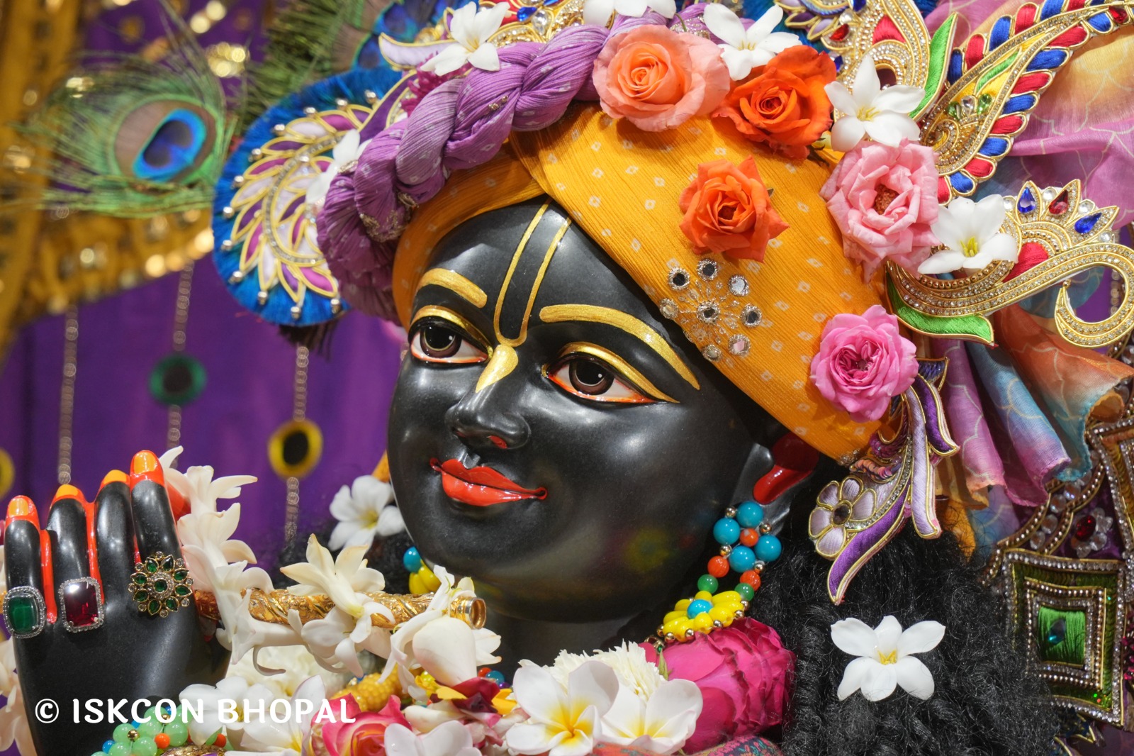 WhatsApp Image 2026-01-17 at 7.54.16 AM (1)