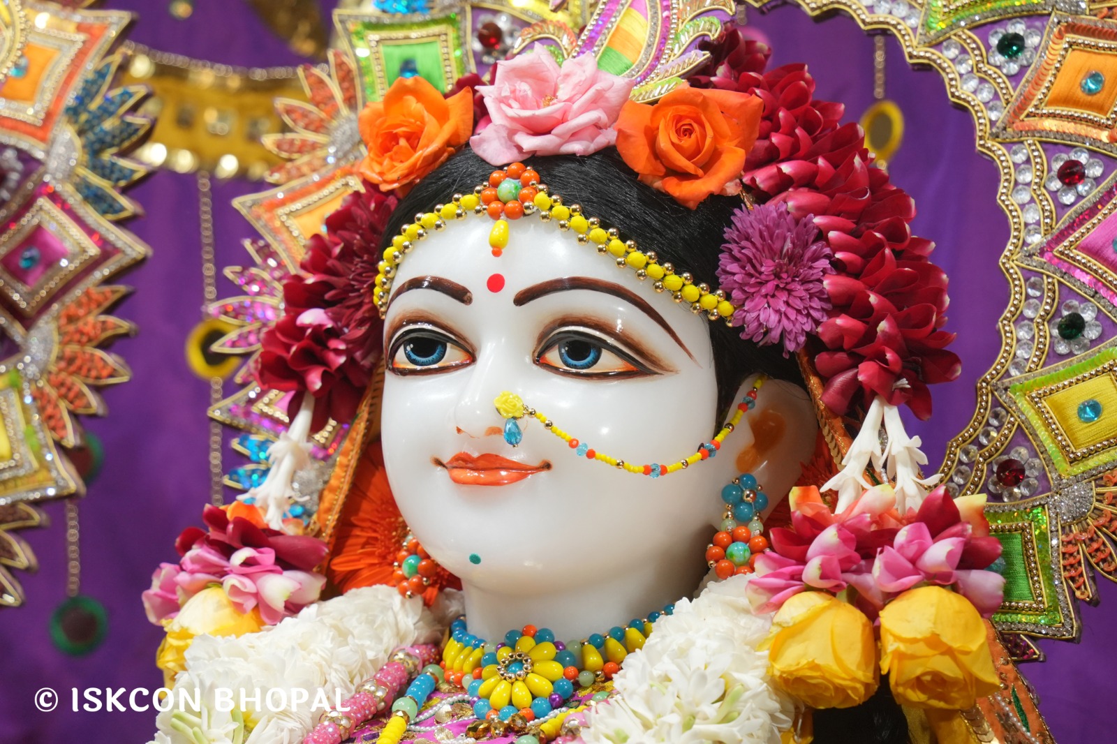 WhatsApp Image 2026-01-17 at 7.54.16 AM (3)