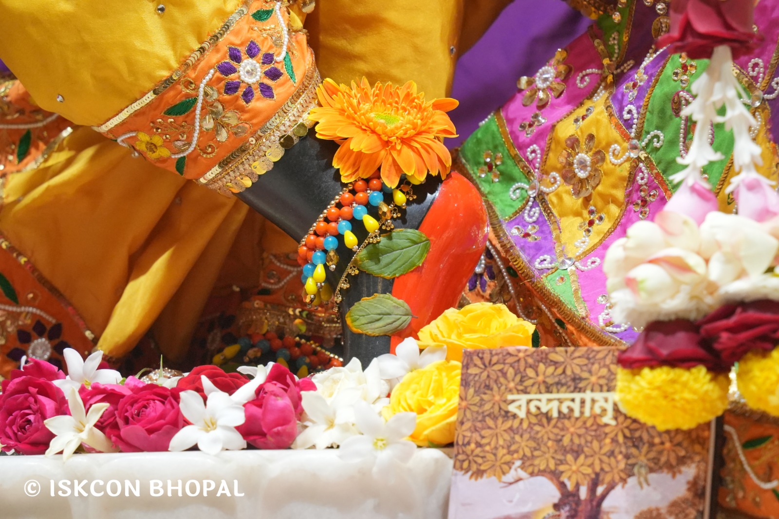 WhatsApp Image 2026-01-17 at 7.54.17 AM (1)