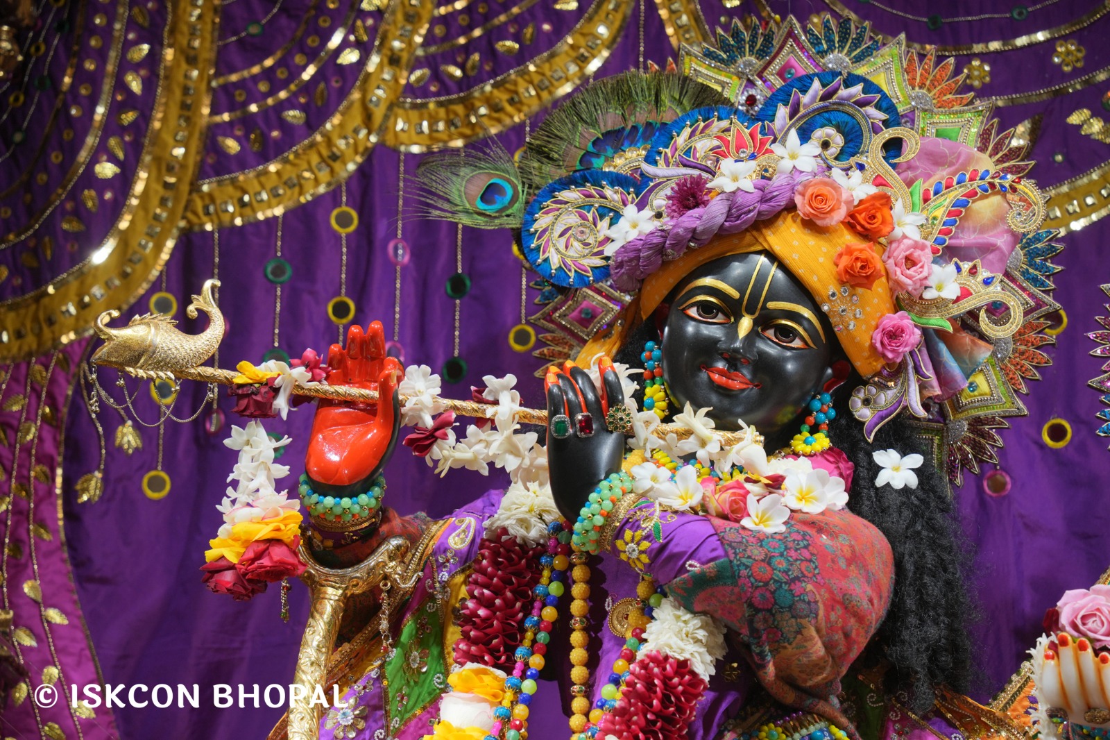 WhatsApp Image 2026-01-17 at 7.54.17 AM