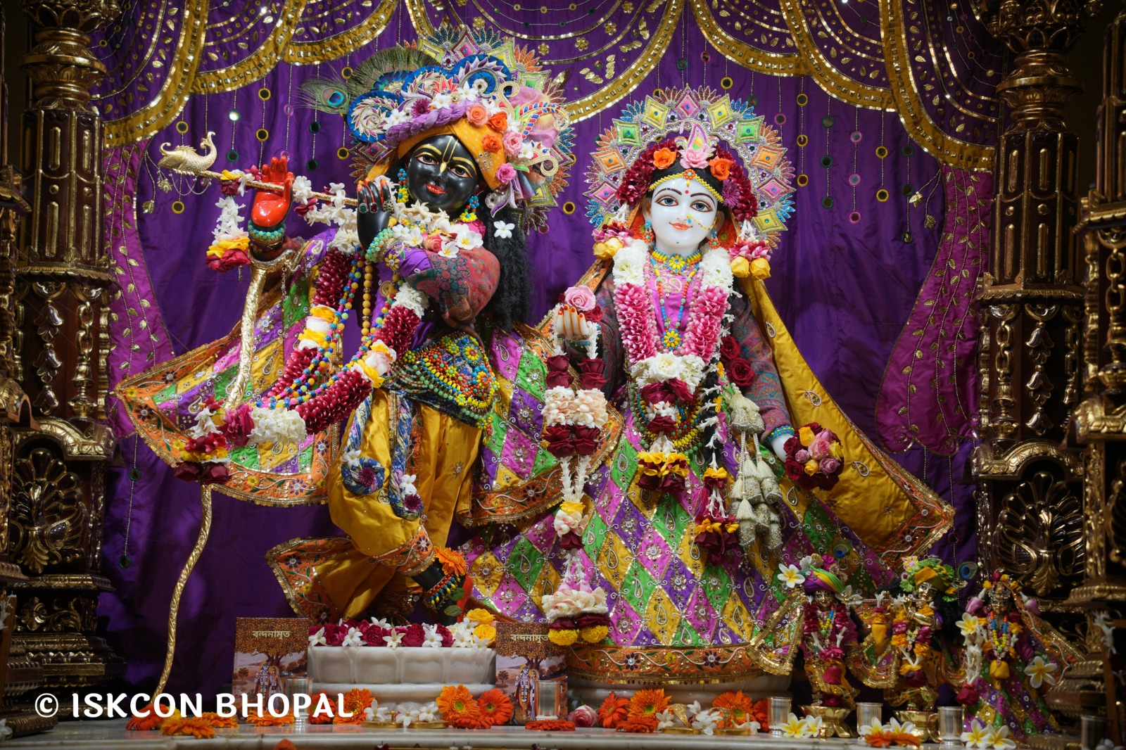 WhatsApp Image 2026-01-17 at 7.54.18 AM (2)