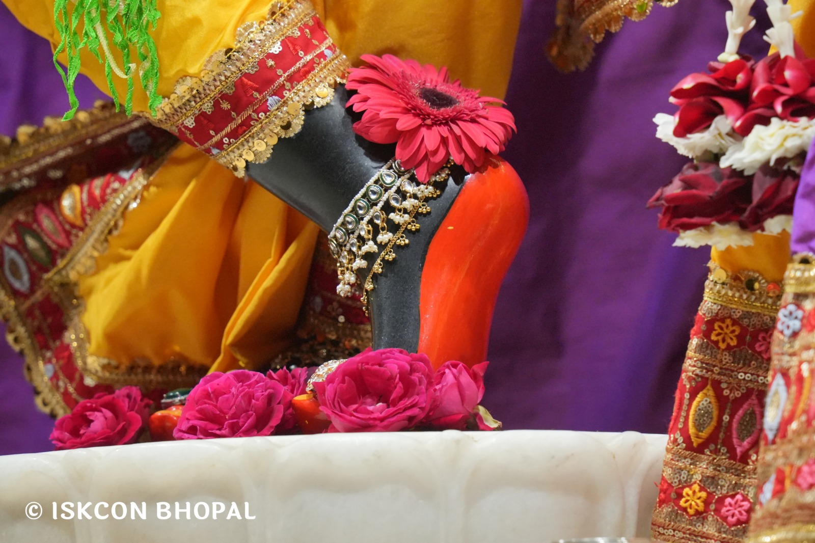 WhatsApp Image 2026-01-18 at 7.12.13 AM