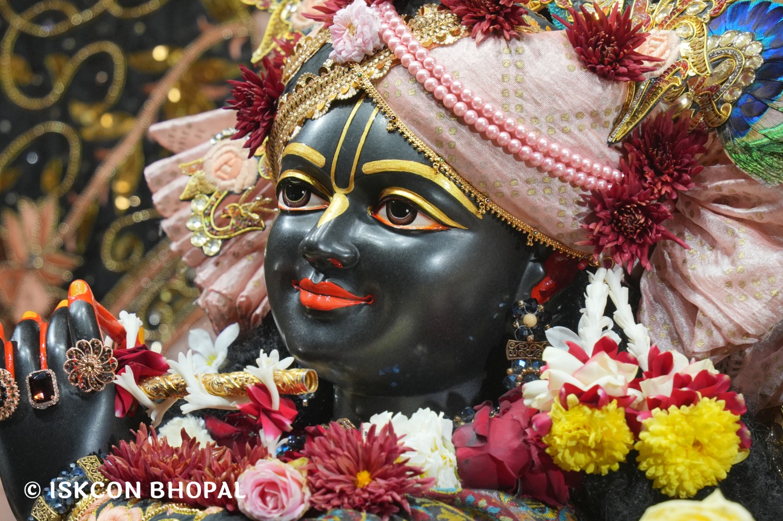 WhatsApp Image 2026-01-18 at 7.44.45 AM (1)