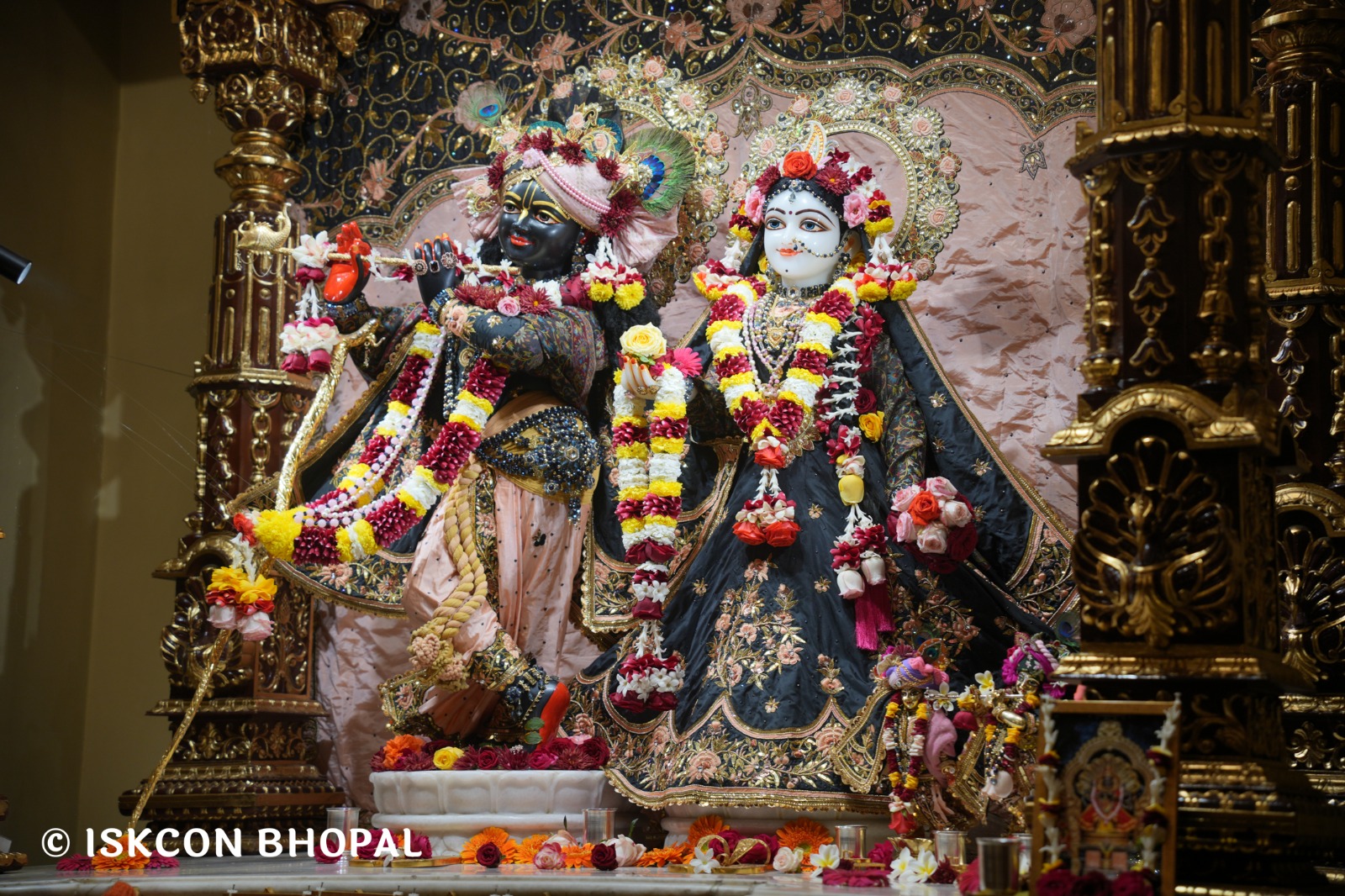 WhatsApp Image 2026-01-18 at 7.44.45 AM (2)