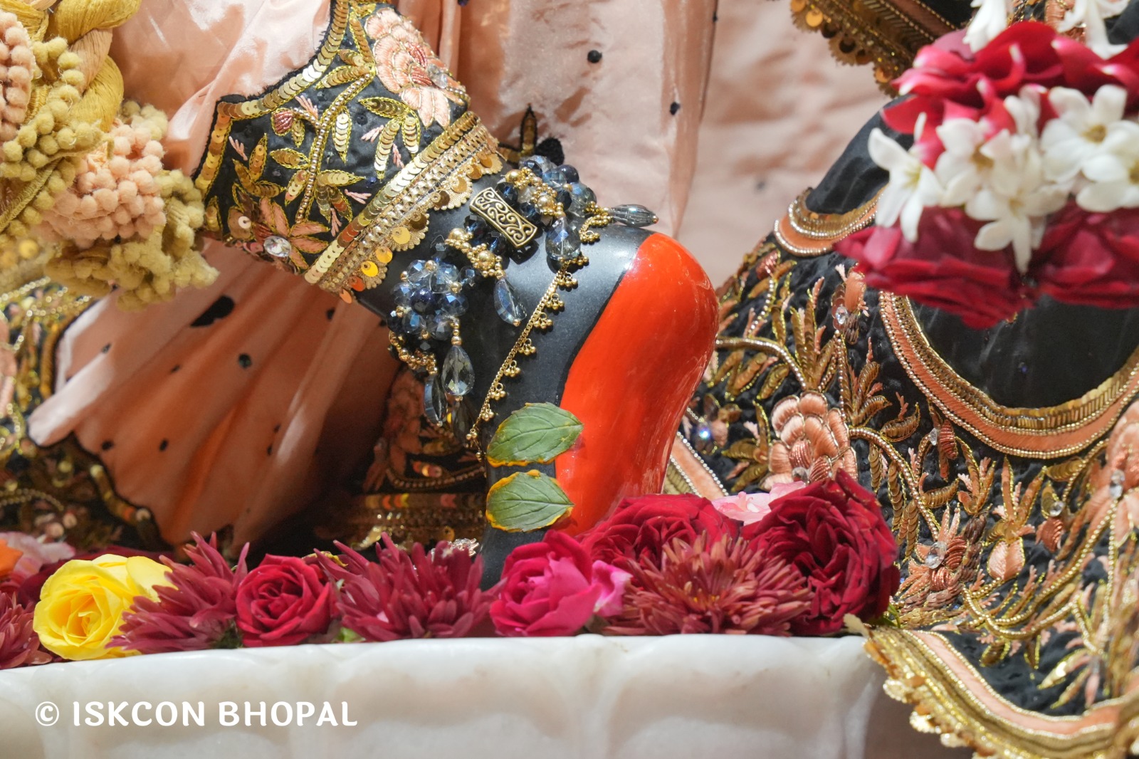 WhatsApp Image 2026-01-18 at 7.44.45 AM