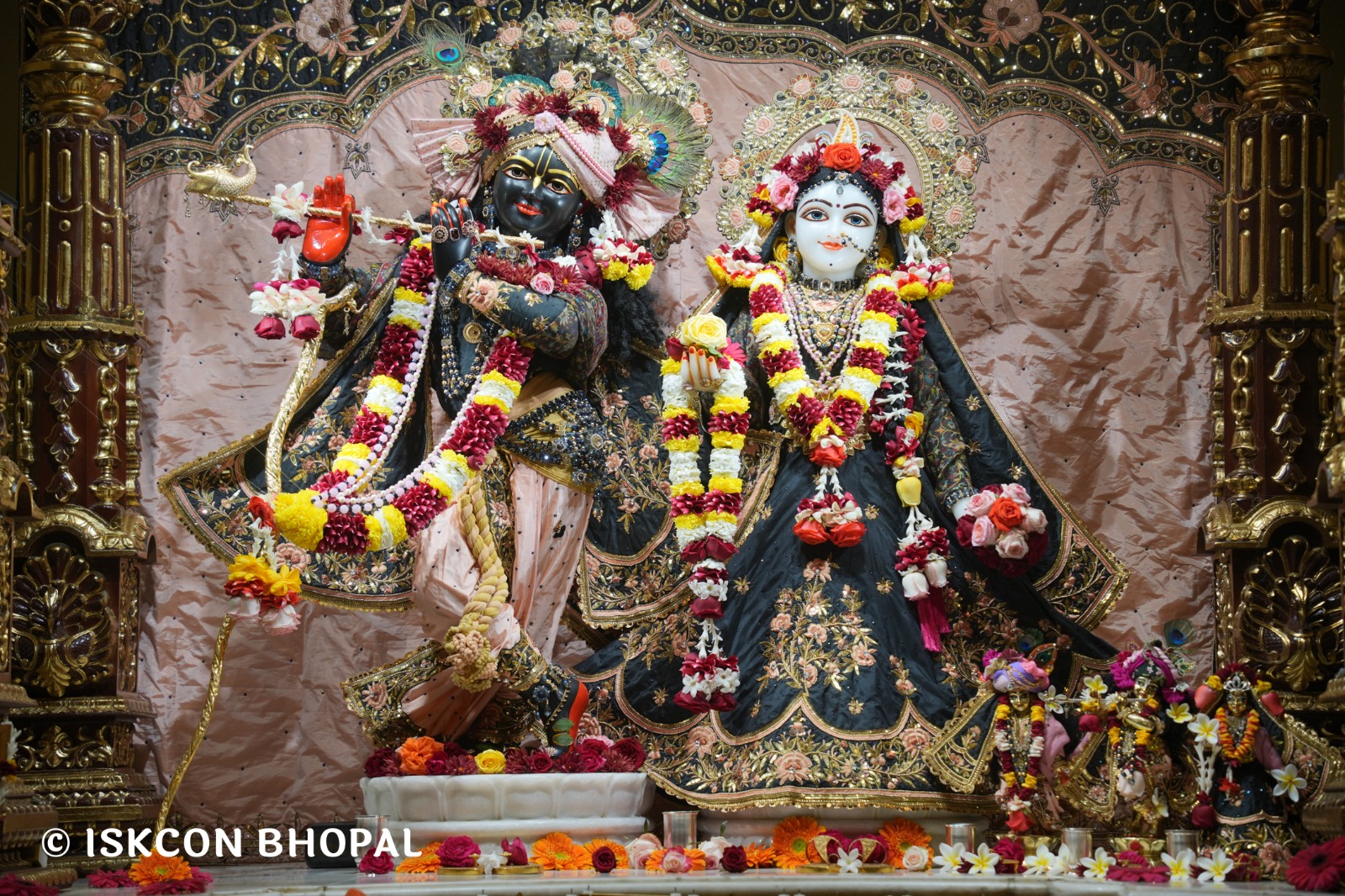 WhatsApp Image 2026-01-18 at 7.44.46 AM (3)