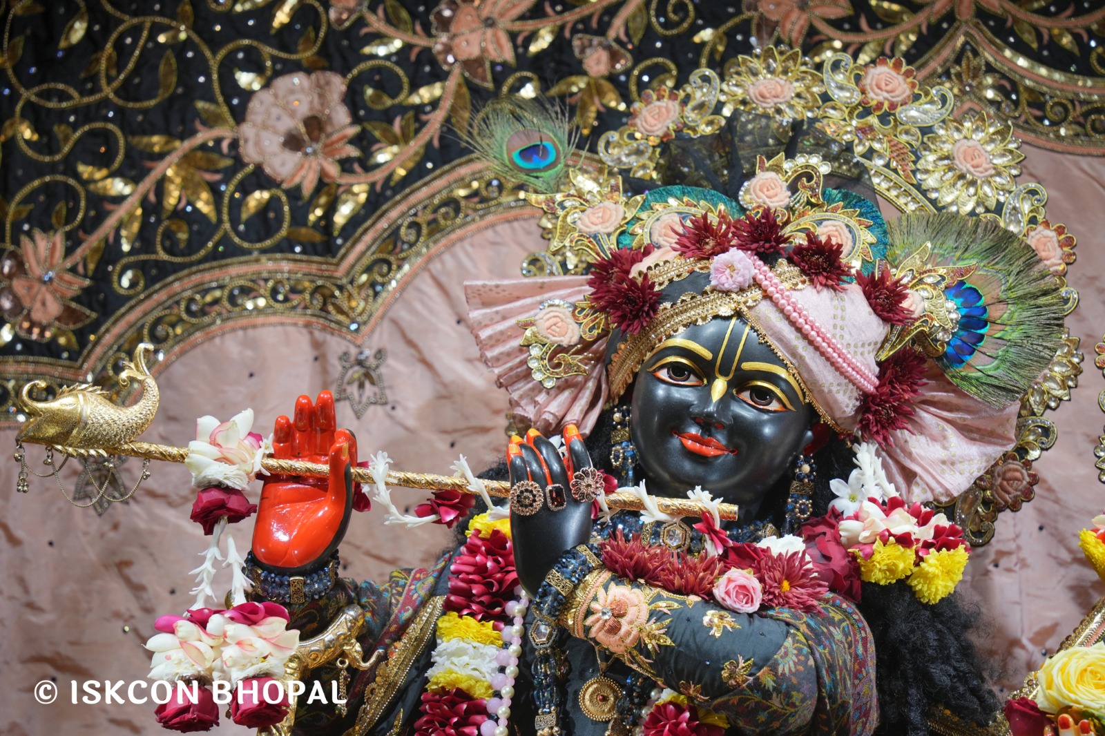 WhatsApp Image 2026-01-18 at 7.44.46 AM (5)