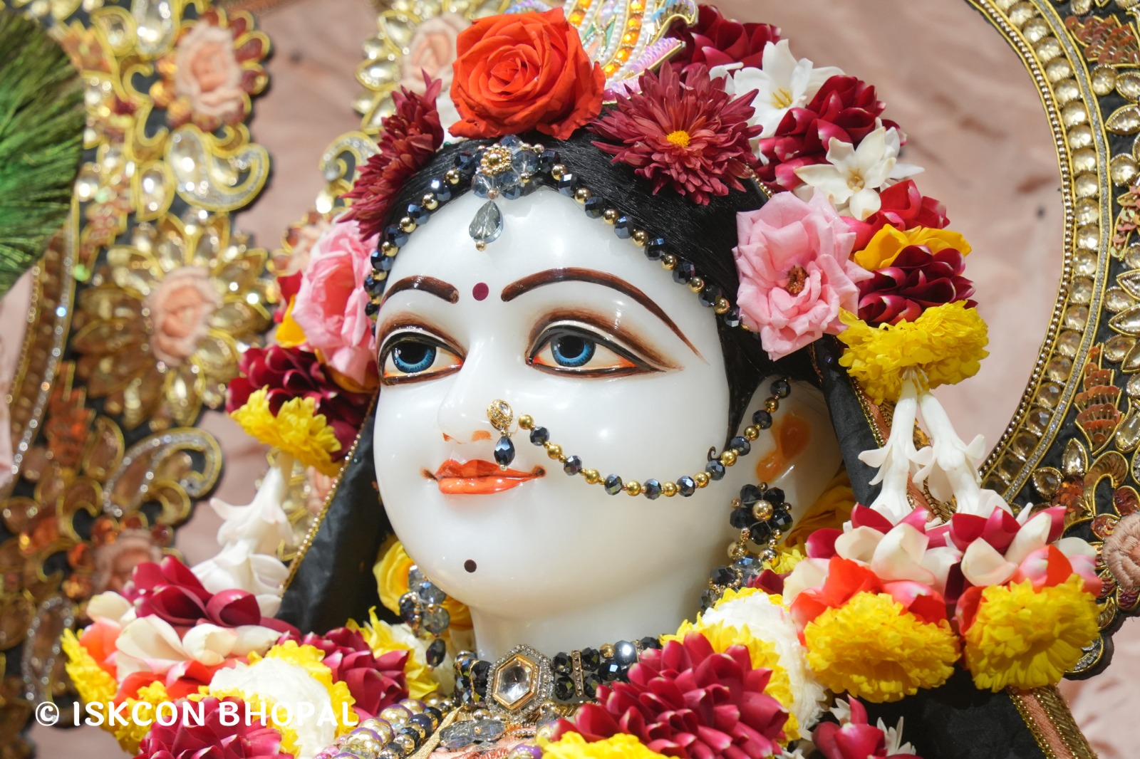 WhatsApp Image 2026-01-18 at 7.44.46 AM