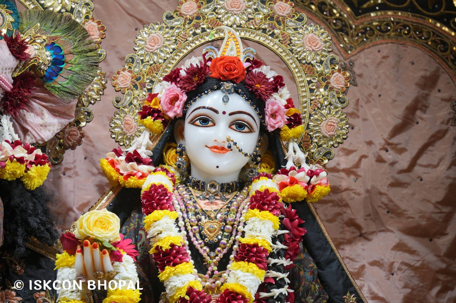 WhatsApp Image 2026-01-18 at 7.44.47 AM (1)