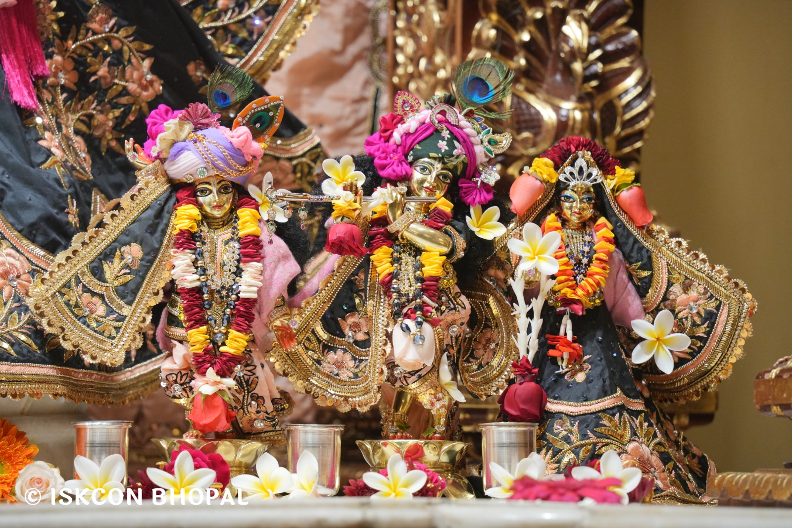 WhatsApp Image 2026-01-18 at 7.44.47 AM (2)