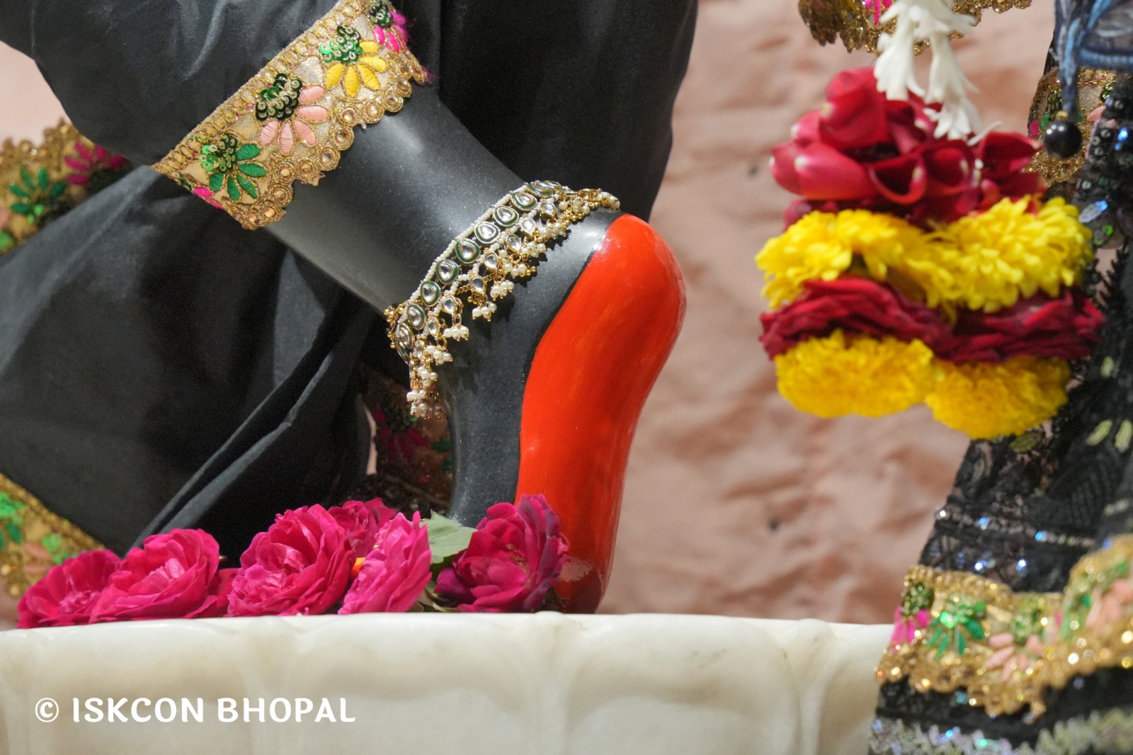 WhatsApp Image 2026-01-19 at 7.00.28 AM (2)