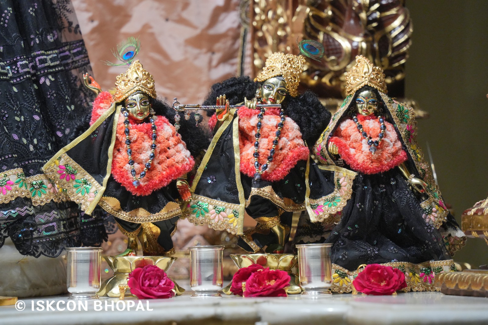 WhatsApp Image 2026-01-19 at 7.00.28 AM