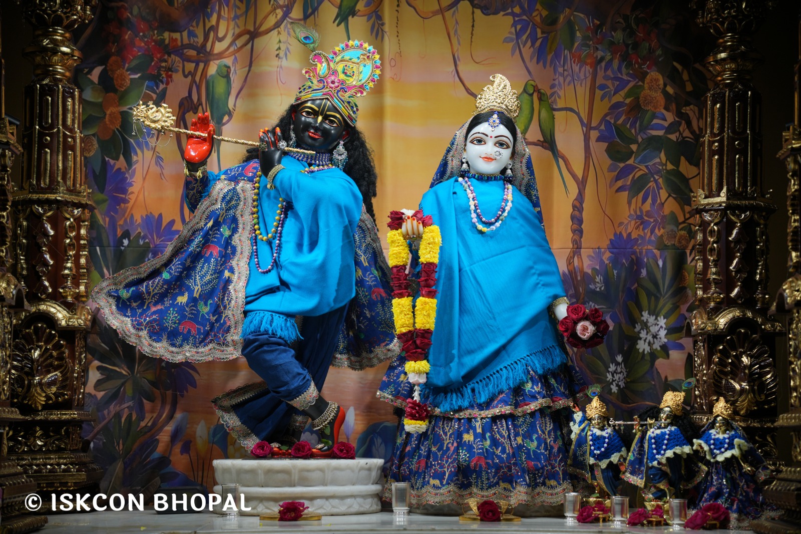 WhatsApp Image 2026-01-22 at 7.05.34 AM (1)