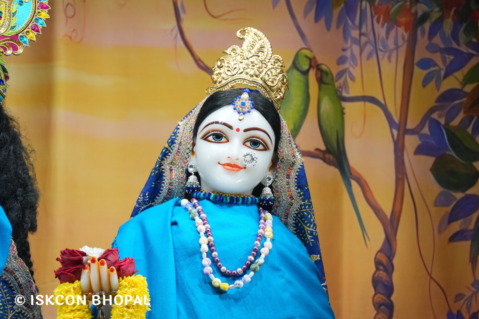 WhatsApp Image 2026-01-22 at 7.05.34 AM (2)