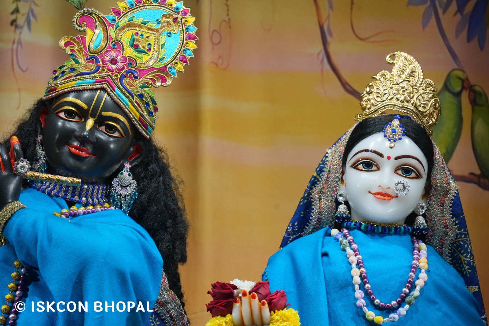 WhatsApp Image 2026-01-22 at 7.05.34 AM