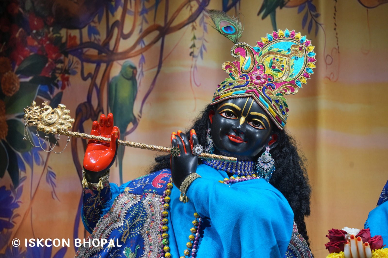 WhatsApp Image 2026-01-22 at 7.05.35 AM (1)