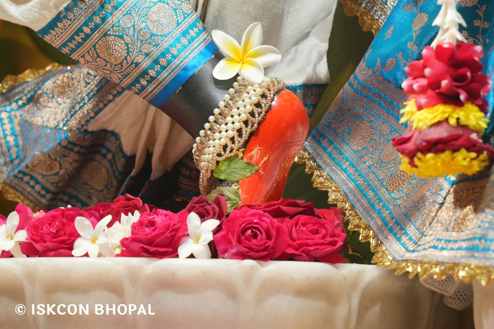 WhatsApp Image 2026-01-22 at 7.43.34 AM (2)