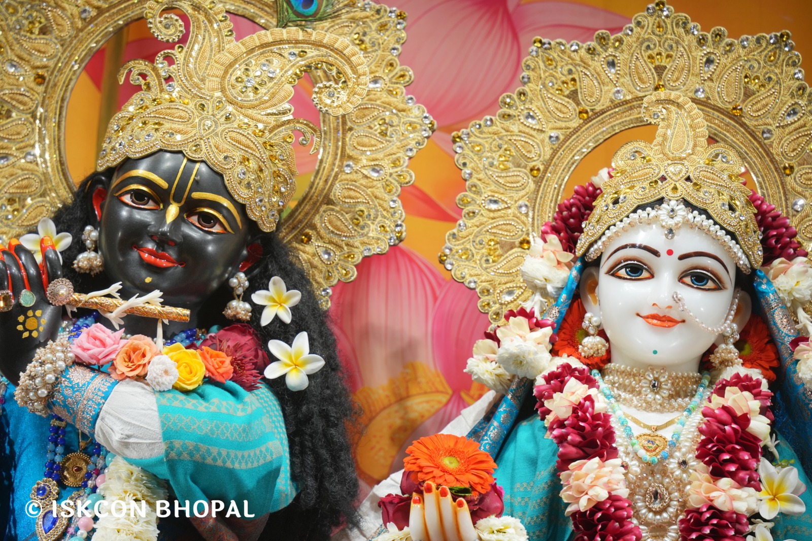 WhatsApp Image 2026-01-22 at 7.43.35 AM (2)