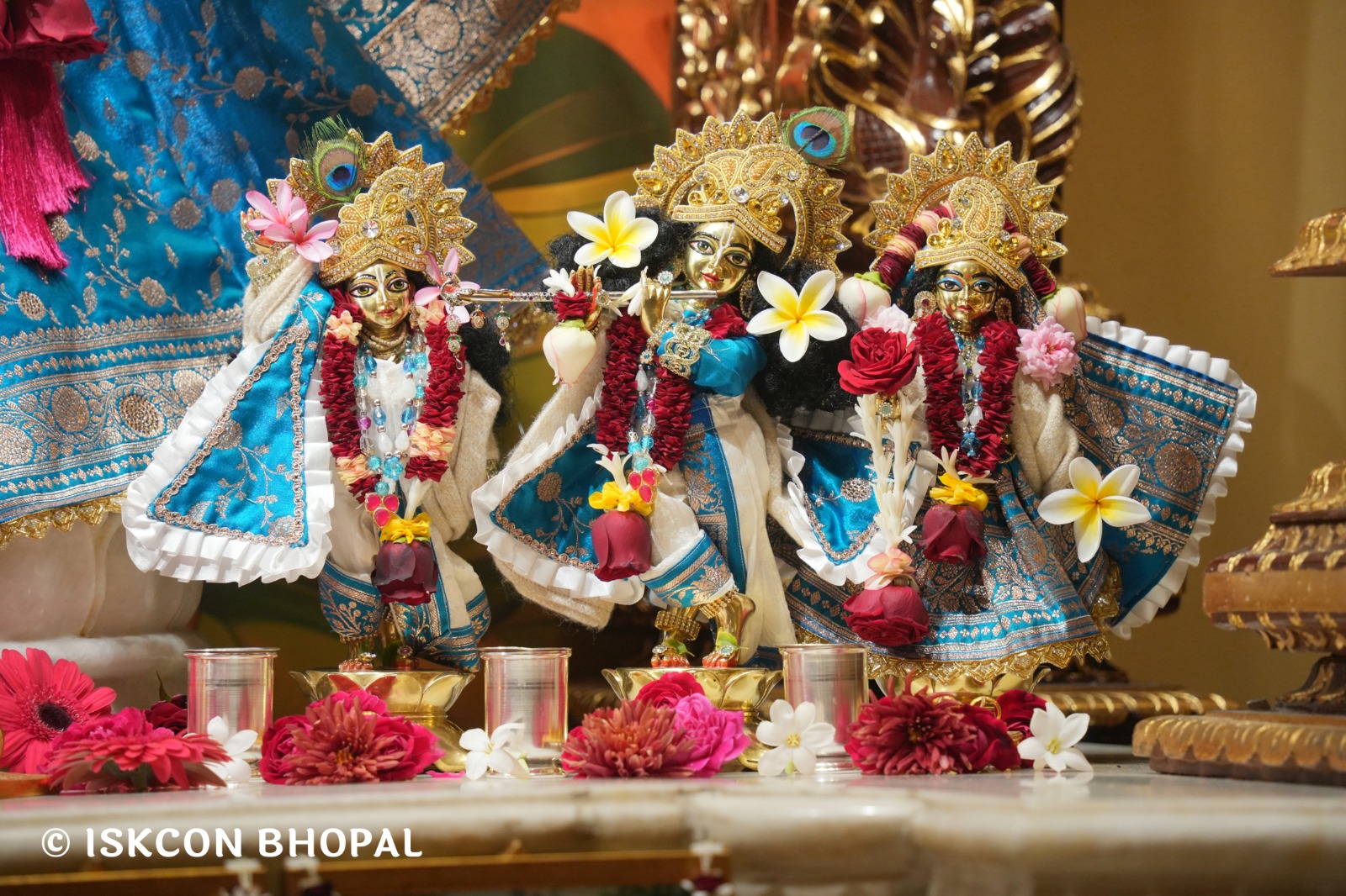 WhatsApp Image 2026-01-22 at 7.43.35 AM