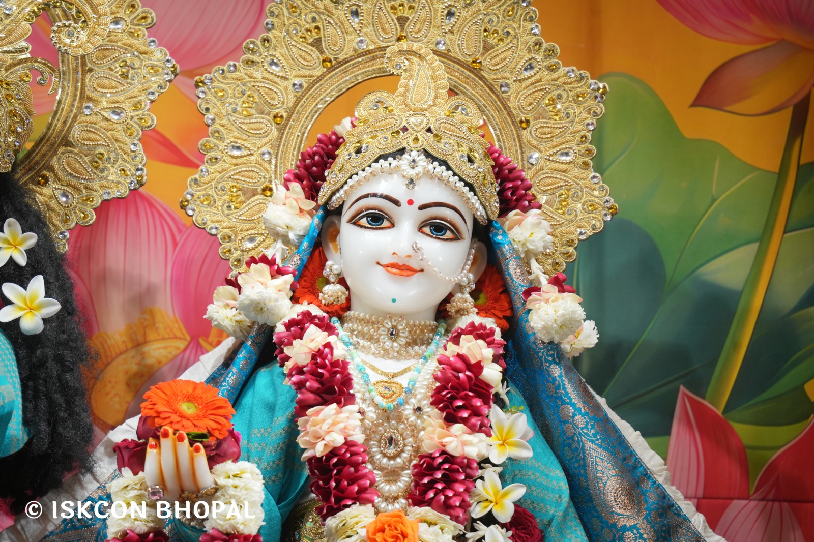 WhatsApp Image 2026-01-22 at 7.43.36 AM (2)