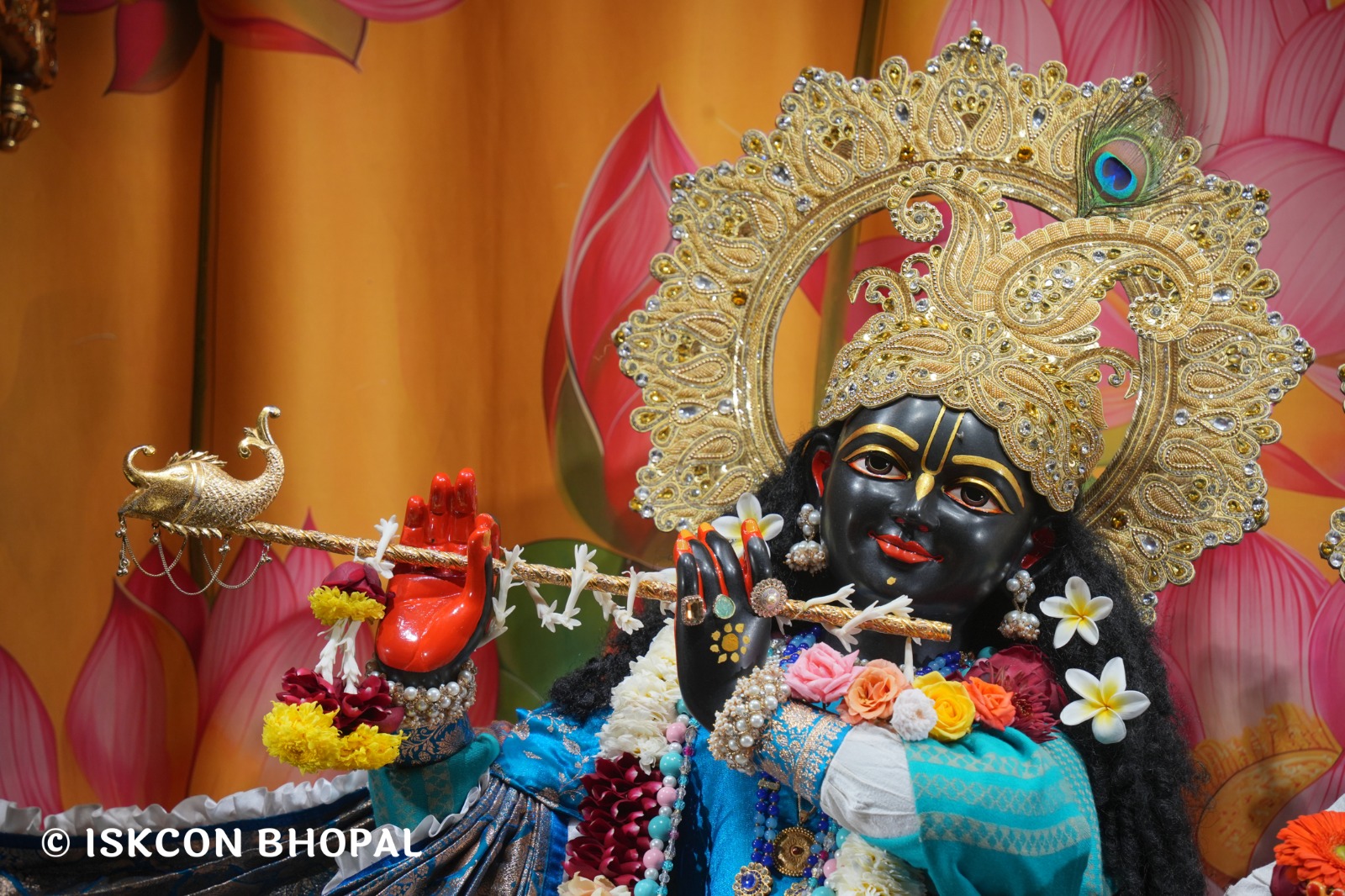 WhatsApp Image 2026-01-22 at 7.43.36 AM