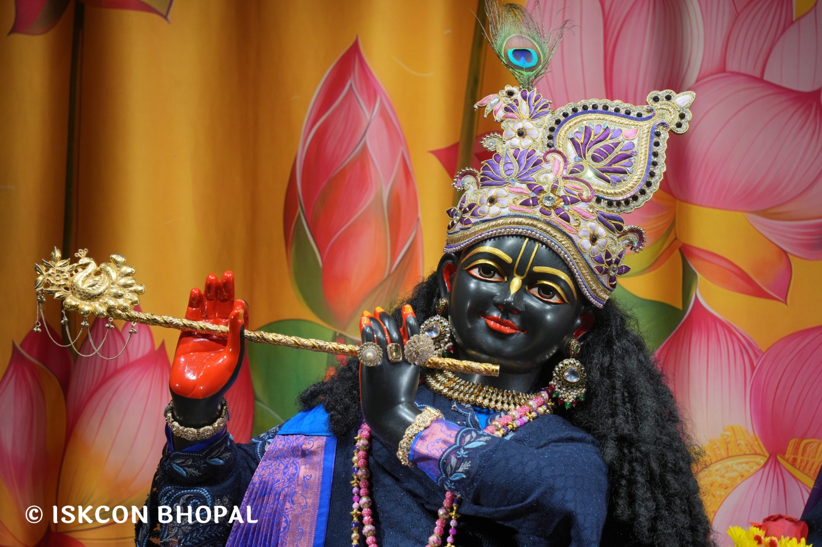 WhatsApp Image 2026-01-23 at 2.03.05 PM (2)