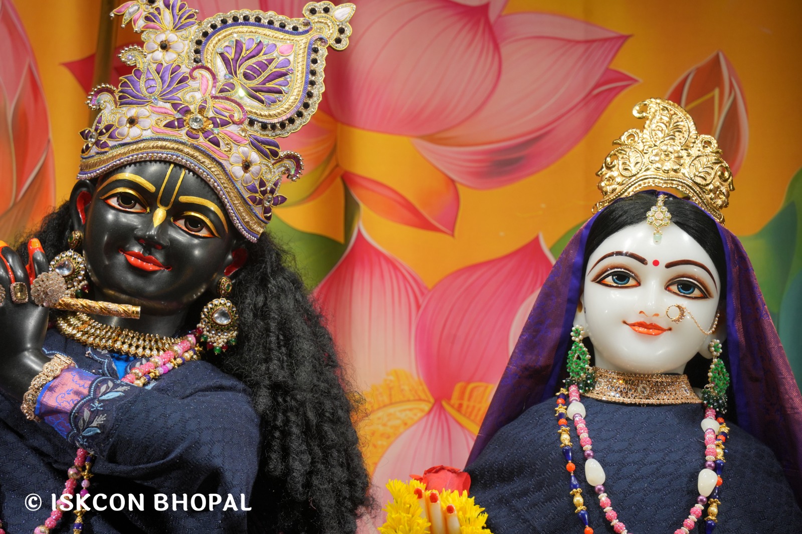 WhatsApp Image 2026-01-23 at 2.03.06 PM