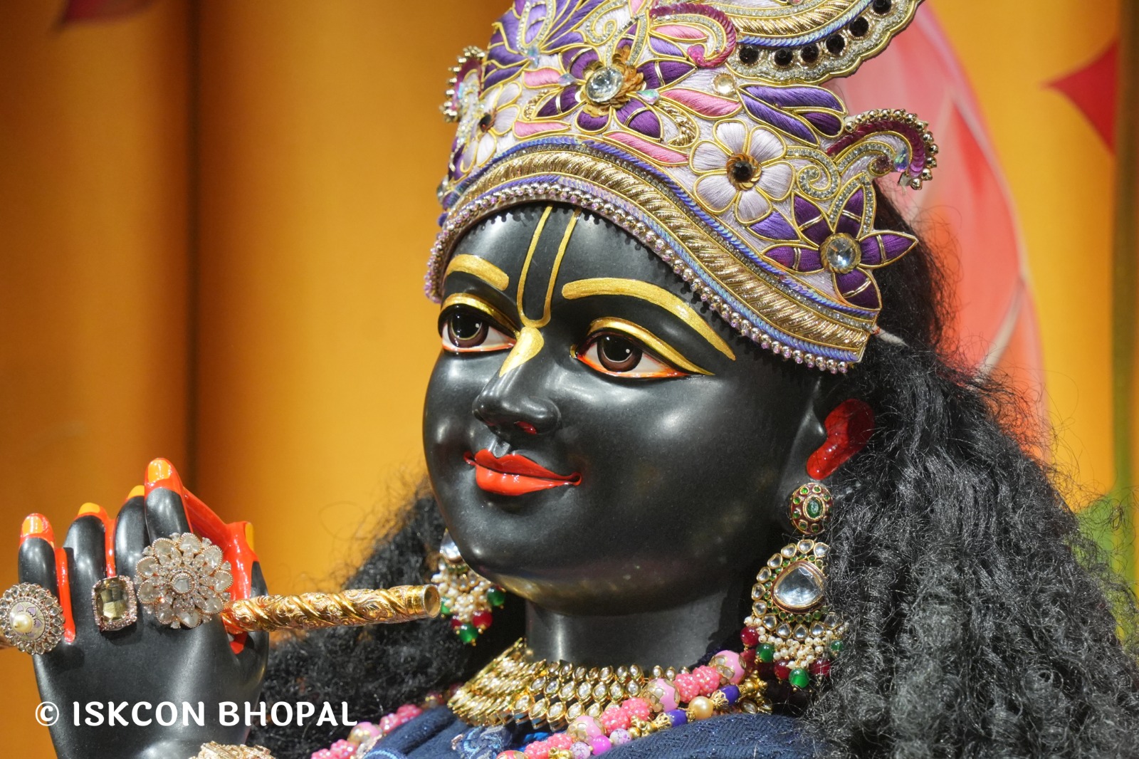 WhatsApp Image 2026-01-23 at 2.03.08 PM (1)