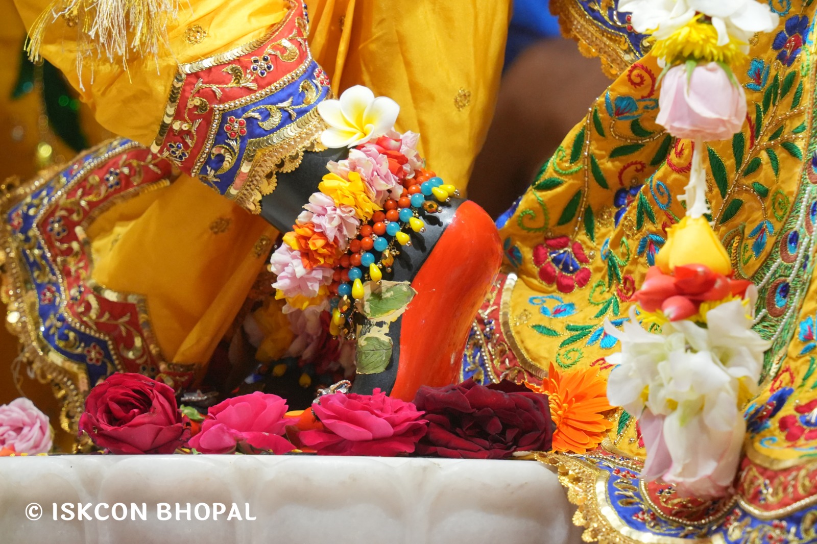 WhatsApp Image 2026-01-23 at 8.01.56 PM