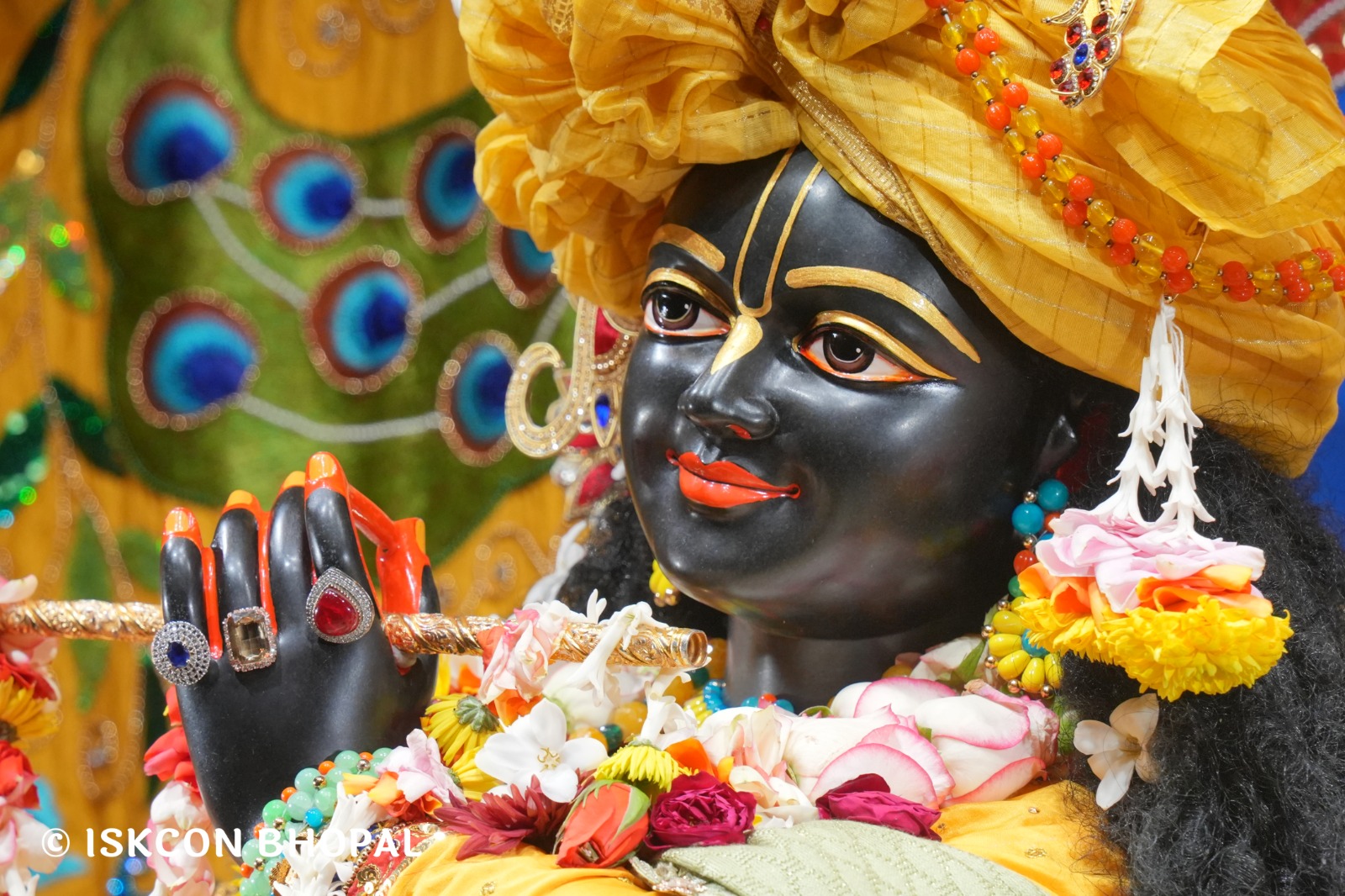 WhatsApp Image 2026-01-23 at 8.01.57 PM (1)