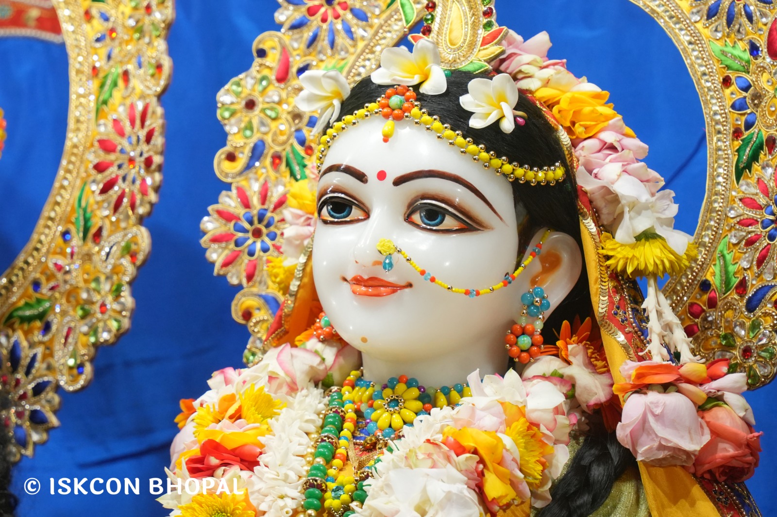 WhatsApp Image 2026-01-23 at 8.01.57 PM