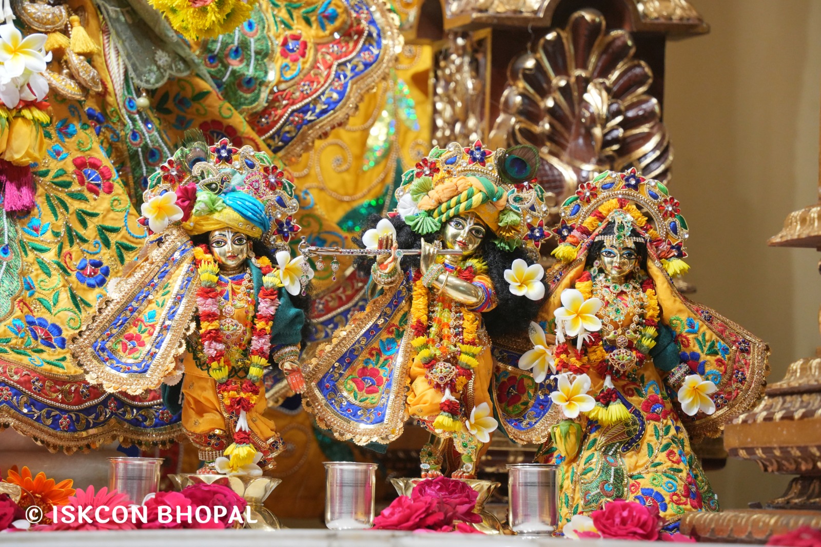 WhatsApp Image 2026-01-23 at 8.01.58 PM (1)