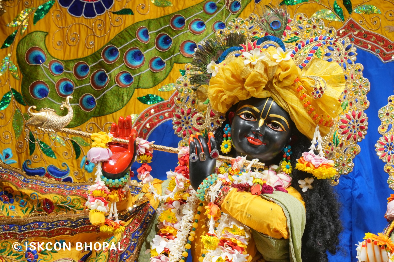 WhatsApp Image 2026-01-23 at 8.01.58 PM (2)