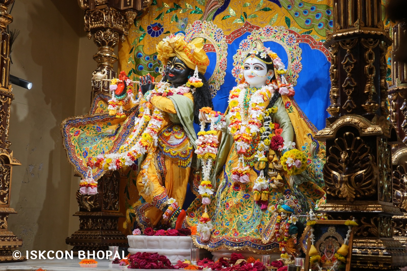 WhatsApp Image 2026-01-23 at 8.01.58 PM (3)