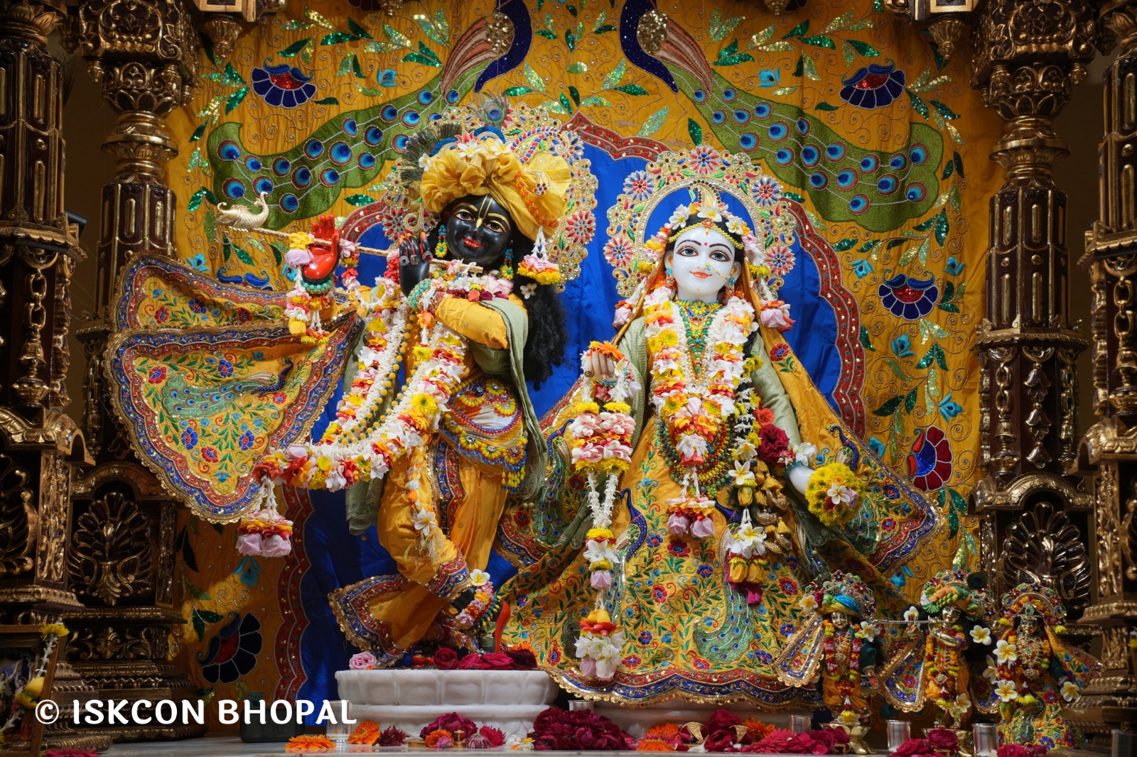 WhatsApp Image 2026-01-23 at 8.01.58 PM