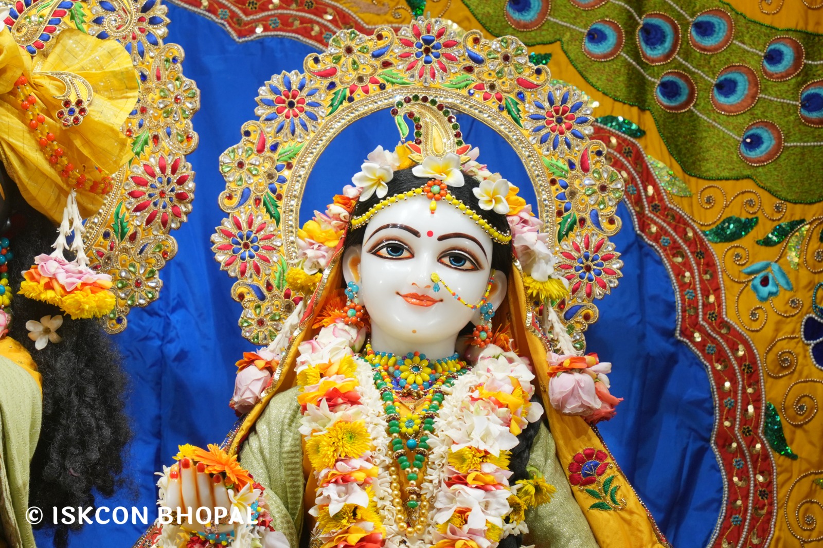 WhatsApp Image 2026-01-23 at 8.01.59 PM (1)