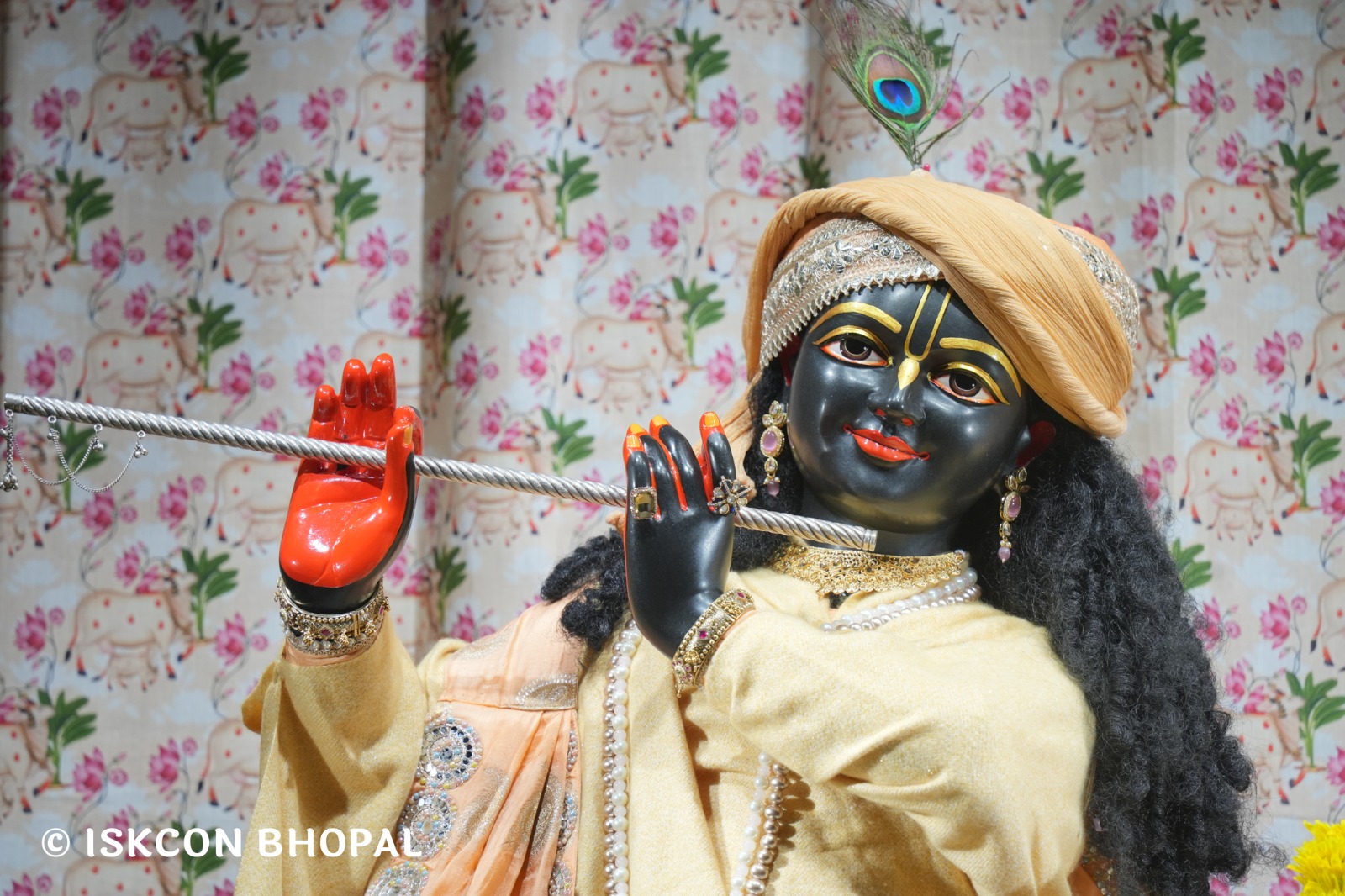 WhatsApp Image 2026-01-24 at 7.04.57 AM (1)