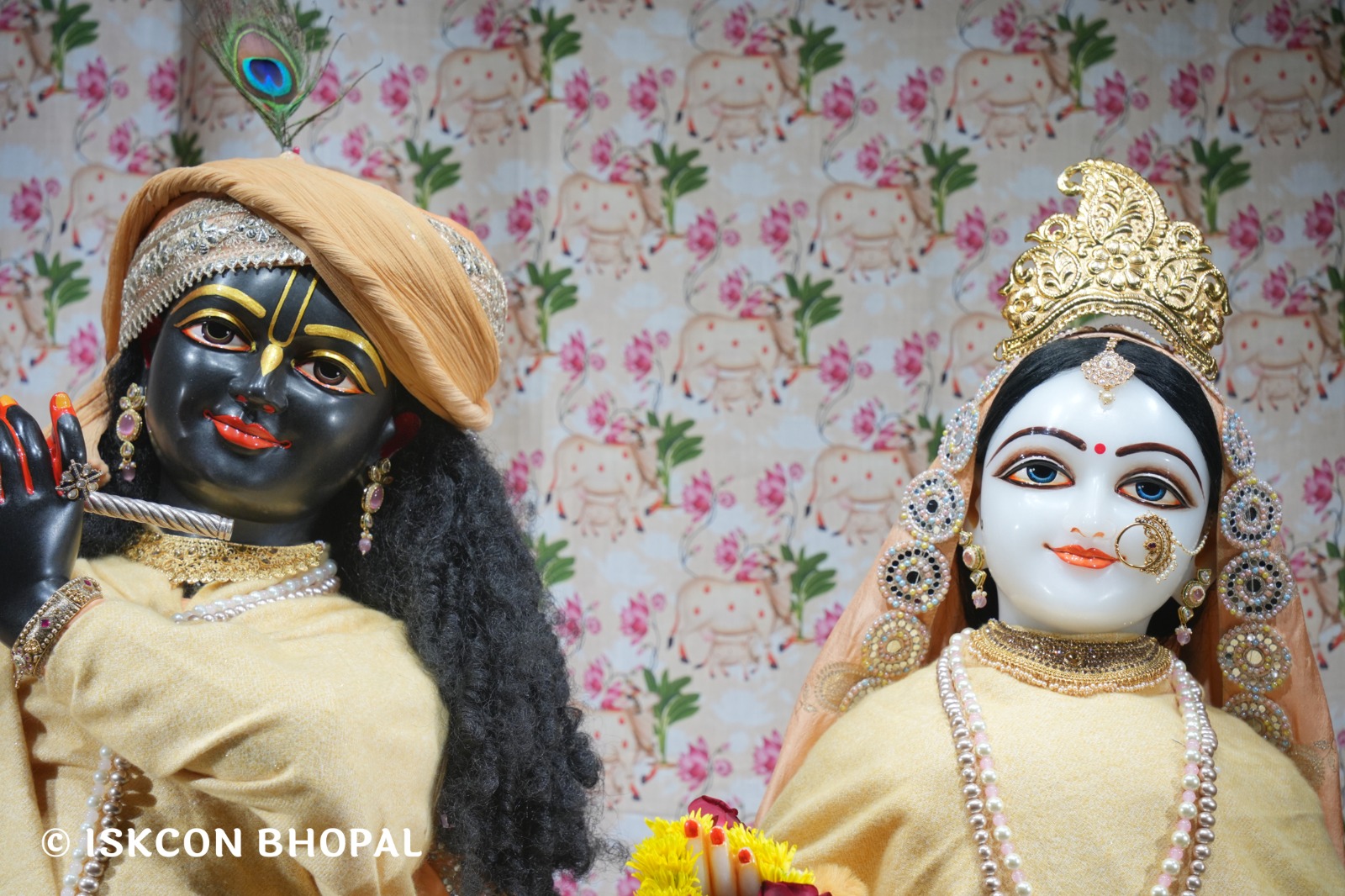 WhatsApp Image 2026-01-24 at 7.04.57 AM