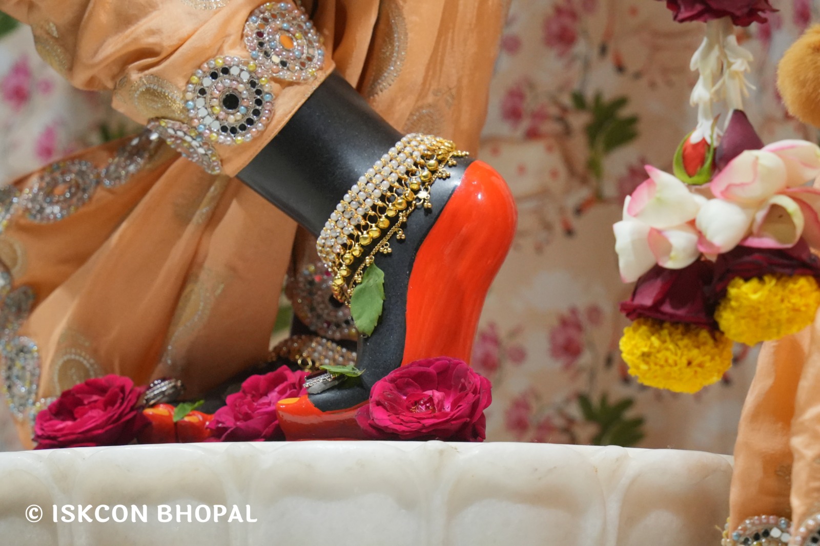 WhatsApp Image 2026-01-24 at 7.04.58 AM (1)