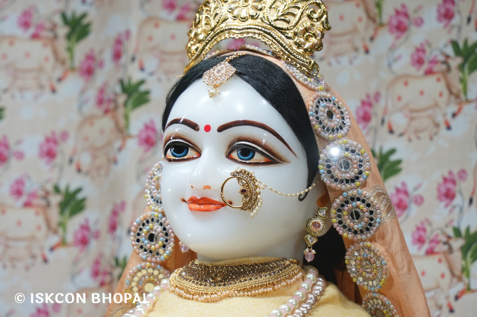 WhatsApp Image 2026-01-24 at 7.04.58 AM (2)