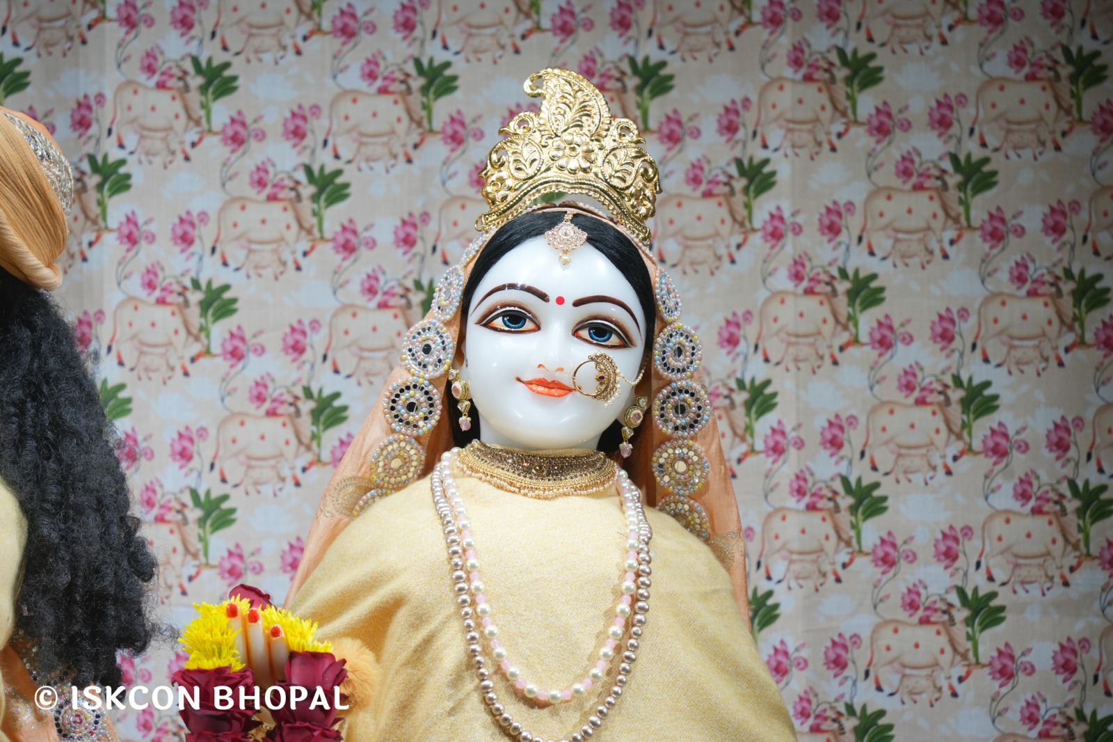 WhatsApp Image 2026-01-24 at 7.04.59 AM (1)