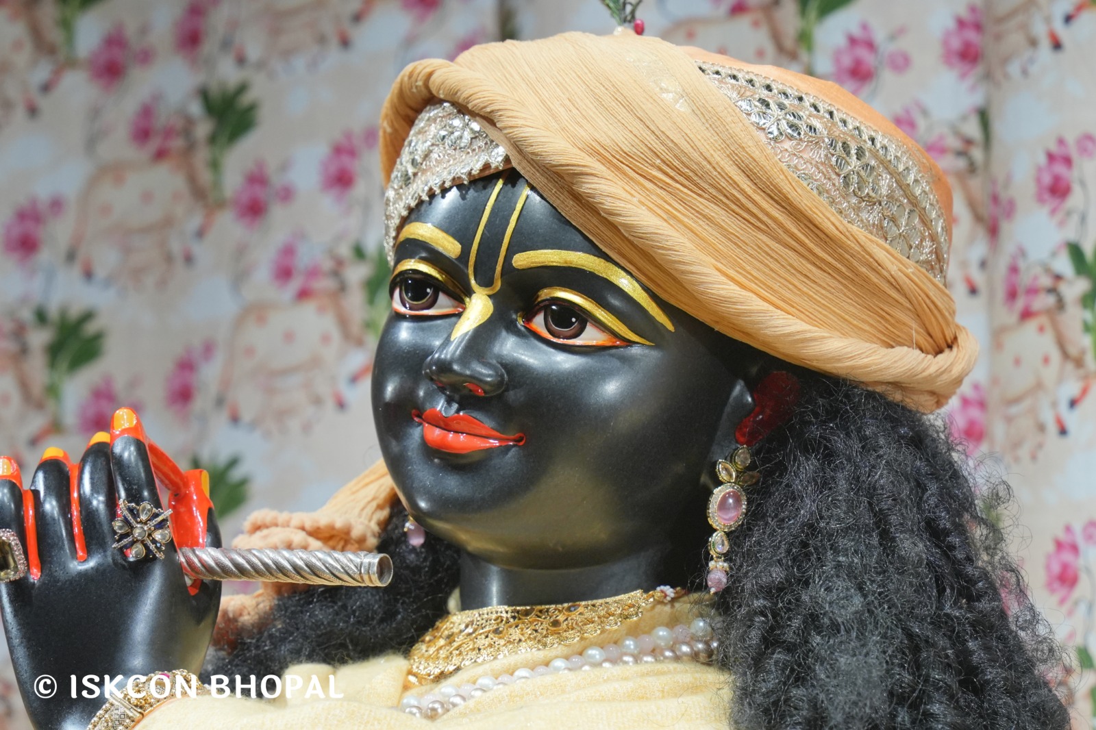 WhatsApp Image 2026-01-24 at 7.04.59 AM (3)