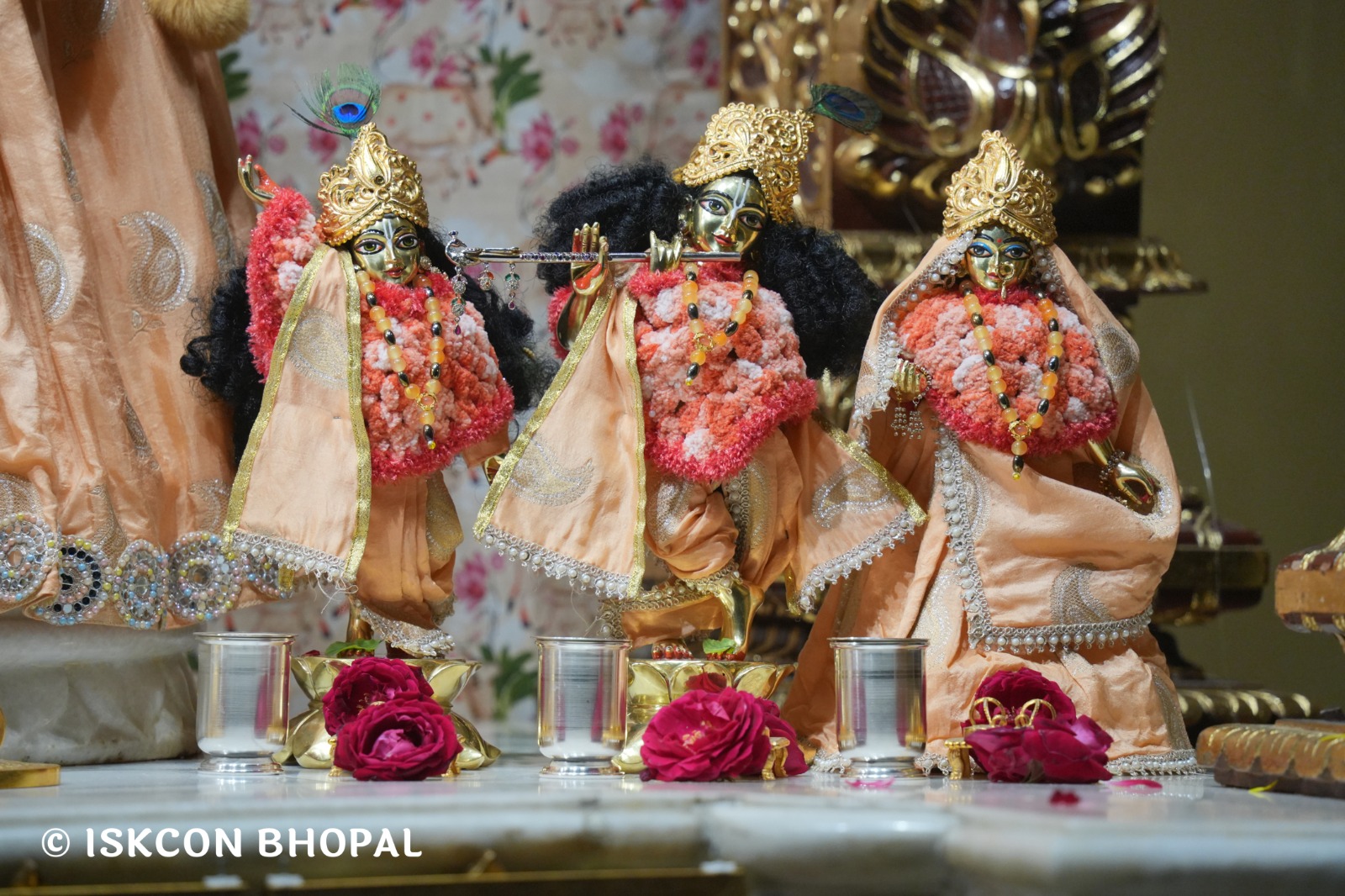 WhatsApp Image 2026-01-24 at 7.04.59 AM