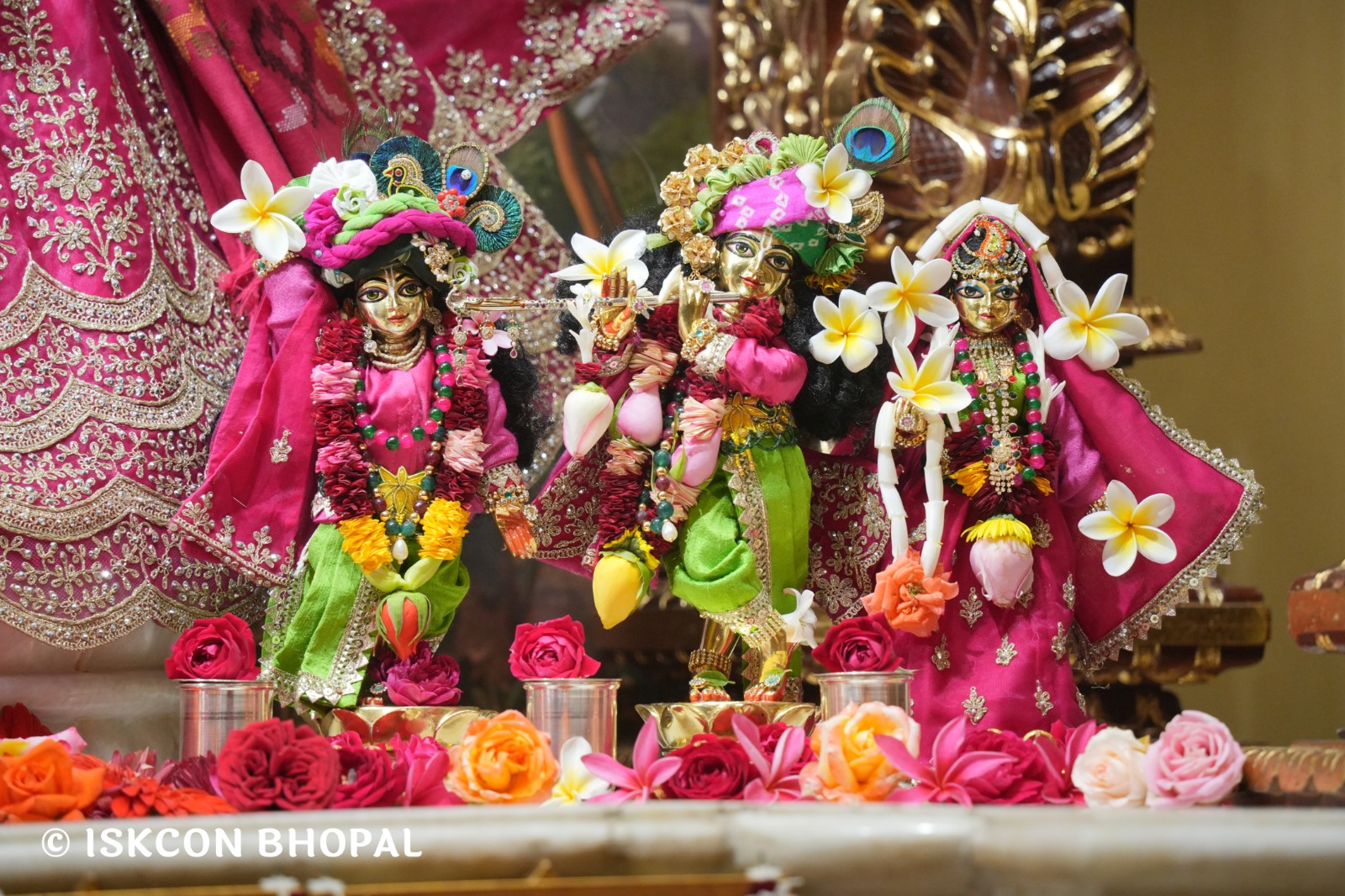 WhatsApp Image 2026-01-24 at 7.45.05 AM