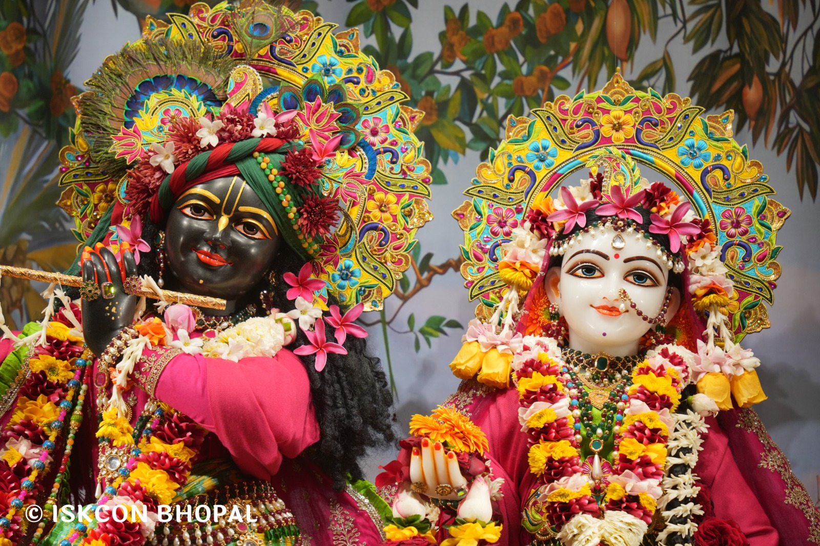 WhatsApp Image 2026-01-24 at 7.45.06 AM (1)