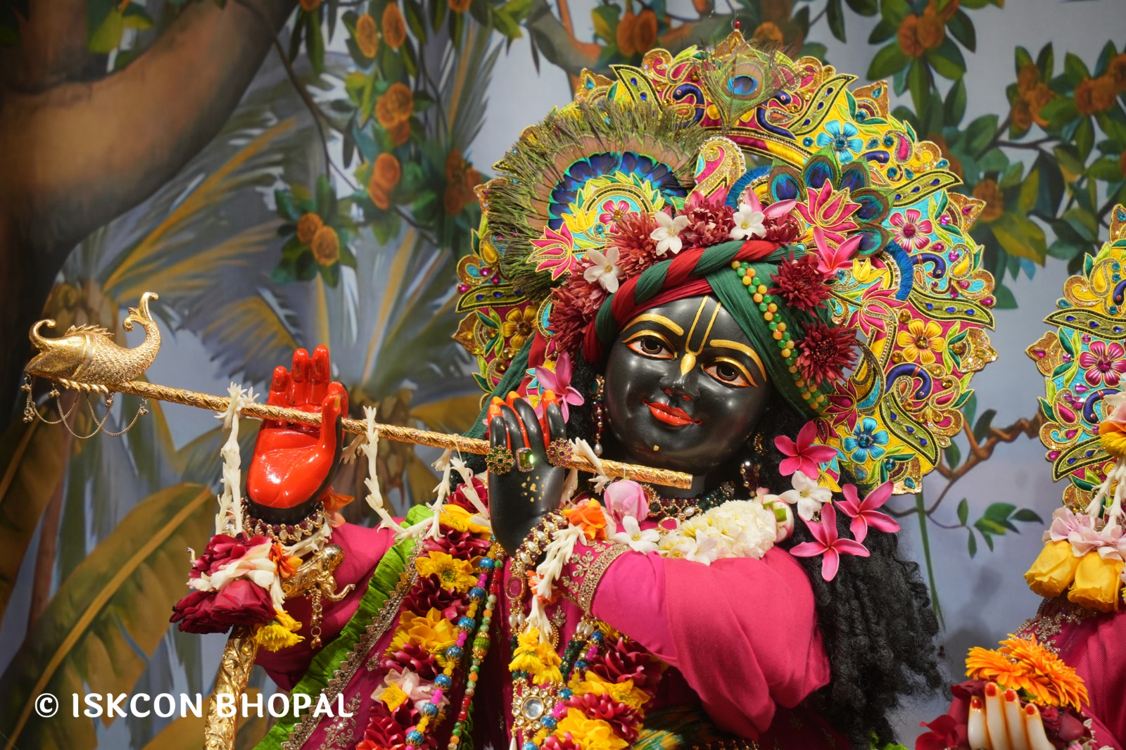 WhatsApp Image 2026-01-24 at 7.45.06 AM (2)