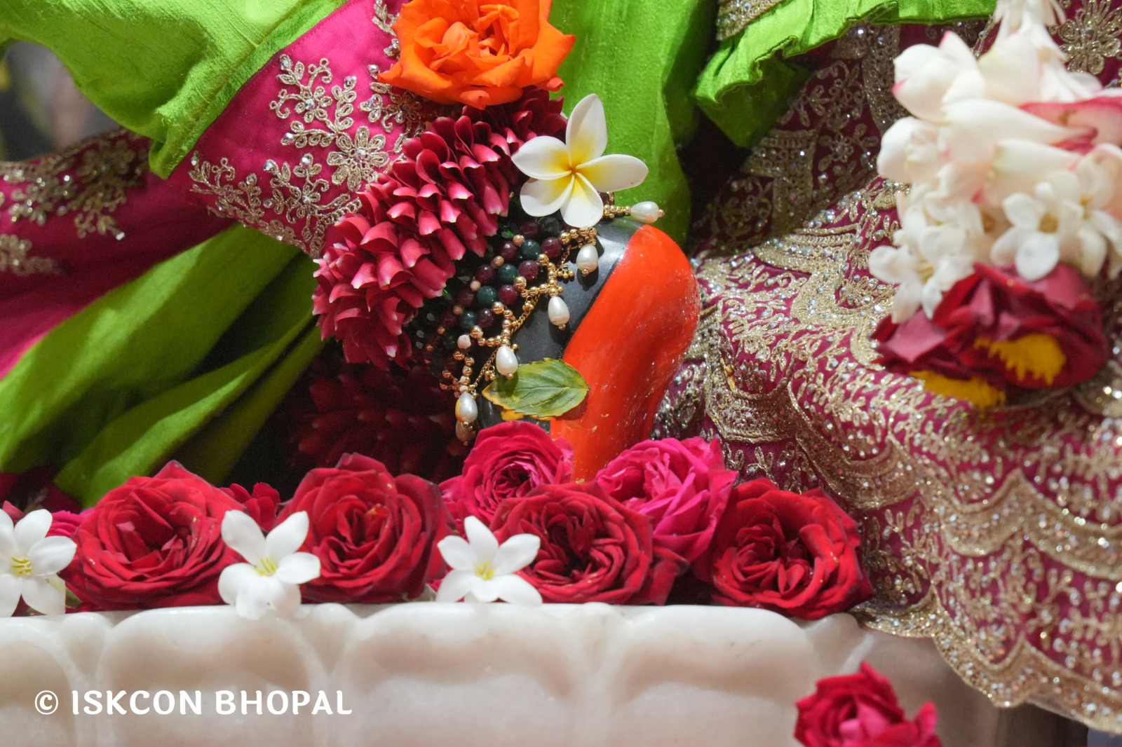 WhatsApp Image 2026-01-24 at 7.45.06 AM (3)