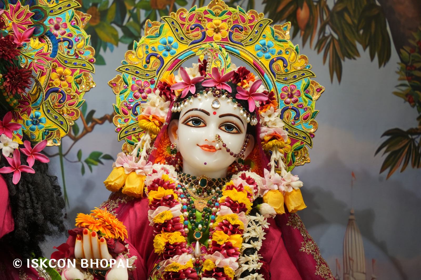 WhatsApp Image 2026-01-24 at 7.45.06 AM